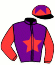 casaque portée par Mendizabal I. jockey du cheval de course FRUITION, information pmu ZETURF