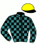 casaque portée par Romary Mlle M. jockey du cheval de course PRINCIPITO, information pmu ZETURF