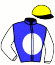 casaque portée par Bernard V. jockey du cheval de course TOP ROCK TALULA, information pmu ZETURF
