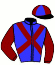 casaque portée par Gallon D. jockey du cheval de course ORLANDO DE BONAS, information pmu ZETURF