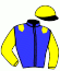casaque portée par Delozier L. jockey du cheval de course SIR PRINCE, information pmu ZETURF
