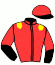 casaque portée par Cordeau Y. jockey du cheval de course HONORE LE FOL, information pmu ZETURF