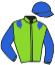 casaque portée par Martiniere Th. jockey du cheval de course HELYSEE WILD, information pmu ZETURF