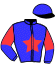 casaque portée par Brossard N. R. jockey du cheval de course JACINTHE DU GASSEL, information pmu ZETURF