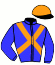casaque portée par Pasquier S. E. jockey du cheval de course KOUGAR GABINLEA, information pmu ZETURF
