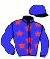 casaque portée par Mourot N. jockey du cheval de course EPSON D'ARIANE, information pmu ZETURF