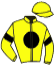 casaque portée par Chavatte J. jockey du cheval de course I AM HAPPY, information pmu ZETURF