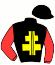 casaque portée par Marty F. jockey du cheval de course JAMAICA VERDERIE, information pmu ZETURF