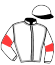 casaque portée par Blondel F. jockey du cheval de course CAPTAIN DE CERISY (FR), information pmu ZETURF