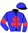 casaque portée par Nicco Mlle A. jockey du cheval de course TENDER WINNER (FR), information pmu ZETURF