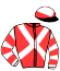 casaque portée par Raybould Mlle K. jockey du cheval de course TUNDRA, information pmu ZETURF