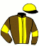 casaque portée par Lapray D. jockey du cheval de course HOLD MAJYC, information pmu ZETURF