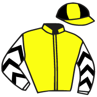 casaque portée par Mendizabal I. jockey du cheval de course LUTIER DE FORME, information pmu ZETURF
