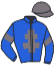 casaque portée par Olivier D. M. jockey du cheval de course JESS D'ANARDEL, information pmu ZETURF