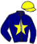 casaque portée par Royer V. jockey du cheval de course LEADER DU MOUCHEL, information pmu ZETURF
