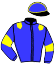 casaque portée par Martineau N. jockey du cheval de course KELKODIL, information pmu ZETURF