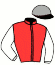casaque portée par Desmarres A. jockey du cheval de course ENIEME CHANCE, information pmu ZETURF