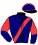 casaque portée par Lamy A. jockey du cheval de course HOUMANA (FR), information pmu ZETURF