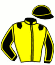 casaque portée par Mottier M. jockey du cheval de course ISILDUR (FR), information pmu ZETURF