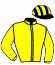 casaque portée par Thomain D. jockey du cheval de course GRAPHISTE DREAM (FR), information pmu ZETURF