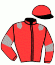 casaque portée par Pou Pou G. A. jockey du cheval de course GRIOTTE DU VIF (FR), information pmu ZETURF