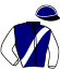 casaque portée par Michardiere B. jockey du cheval de course HUSSARD DU VALLON, information pmu ZETURF