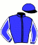 casaque portée par Chalon Th. jockey du cheval de course JORLIC TEJY, information pmu ZETURF