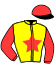 casaque portée par Nivard F. jockey du cheval de course KANDEL DE BEYLEV, information pmu ZETURF
