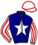 casaque portée par Sauvage Mlle C. jockey du cheval de course LAEKEN DE L'AUMOY, information pmu ZETURF