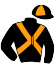 casaque portée par Rochard B. jockey du cheval de course HIMBERLAND, information pmu ZETURF