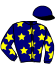 casaque portée par Lagadeuc F. jockey du cheval de course GOLDEN VISAIS, information pmu ZETURF