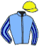 casaque portée par Raffin E. jockey du cheval de course FLAMBEUR DU DIGEON, information pmu ZETURF