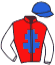 casaque portée par Lebourgeois Y. jockey du cheval de course FRODO S, information pmu ZETURF