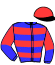 casaque portée par Lebourgeois Y. jockey du cheval de course GORDON MIJACK, information pmu ZETURF