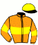 casaque portée par Raffin E. jockey du cheval de course KENTUCKY IDEAL, information pmu ZETURF