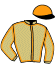 casaque portée par Champenois Mat. jockey du cheval de course ERGUE GABERIC, information pmu ZETURF
