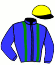 casaque portée par Thomain D. jockey du cheval de course KAVIARISSIME, information pmu ZETURF