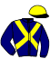 casaque portée par Raffin E. jockey du cheval de course KRICK DU GUESCLIN, information pmu ZETURF