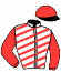 casaque portée par Mottier M. jockey du cheval de course LITTLE STAR, information pmu ZETURF