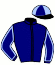 casaque portée par Verva Pie. Y. jockey du cheval de course LERWICK PERRINE, information pmu ZETURF