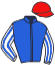 casaque portée par Mottier M. jockey du cheval de course CRALGIDO SM, information pmu ZETURF