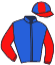 casaque portée par Minopoli Jr Mar. jockey du cheval de course ERMES EFFESSE, information pmu ZETURF
