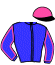 casaque portée par Barrier A. jockey du cheval de course KAKO GASCOGNE, information pmu ZETURF