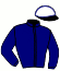 casaque portée par Lecanu F. jockey du cheval de course HOGGAR, information pmu ZETURF