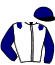 casaque portée par Saussaye V. jockey du cheval de course ITAG KERYVON, information pmu ZETURF