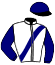 casaque portée par Chauve-laffay Ben. jockey du cheval de course INDIC, information pmu ZETURF