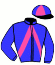 casaque portée par Radoux R. jockey du cheval de course FORET DE PAIL, information pmu ZETURF