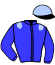 casaque portée par Desmigneux F. jockey du cheval de course IDEAL CHALEONNAIS, information pmu ZETURF