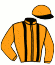 casaque portée par Bakker R. jockey du cheval de course DEON W, information pmu ZETURF
