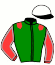 casaque portée par Vercruysse P. jockey du cheval de course FAKIR DE BEAUVALET, information pmu ZETURF